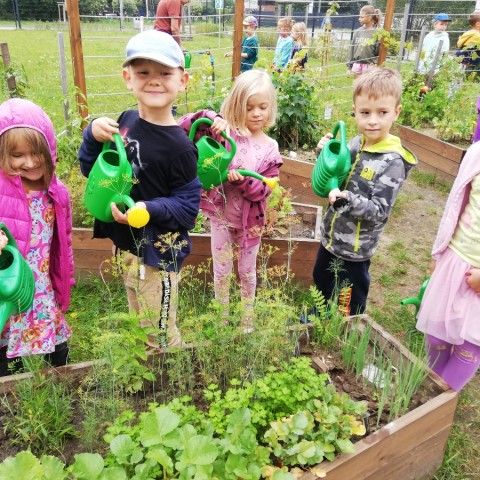 Powiększ obraz: Dzieci podlewają warzywa
