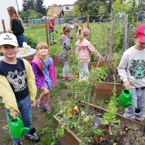Powiększ obraz: Dzieci podlewają warzywa