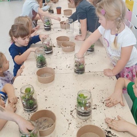 Powiększ obraz: dzieci układają kamyczki i sadzą roślinkę w słoiku