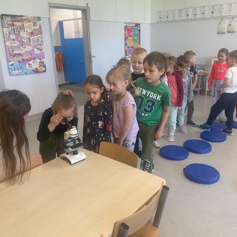 Powiększ obraz: Przedszkolaki prowadzą obserwacje pod mikroskopem