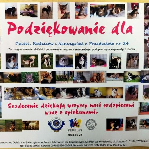 Powiększ obraz: Podziękowanie Towarzystwa Opieki nad Zwierzętami w Polsce Schronisko dla Bezdomnych Zwierząt we Wrocławiu