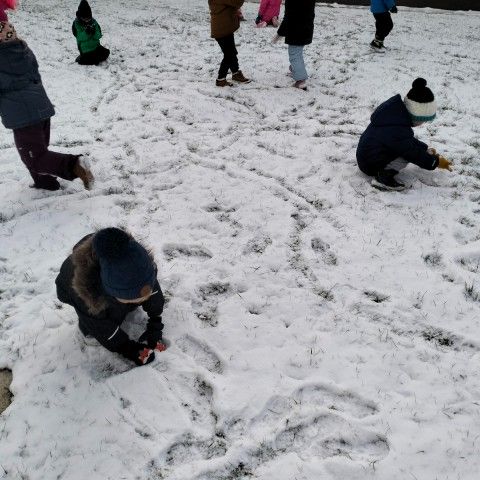 Powiększ obraz: Przedszkolaki bawią się na śniegu, próbują ulepić bałwana
